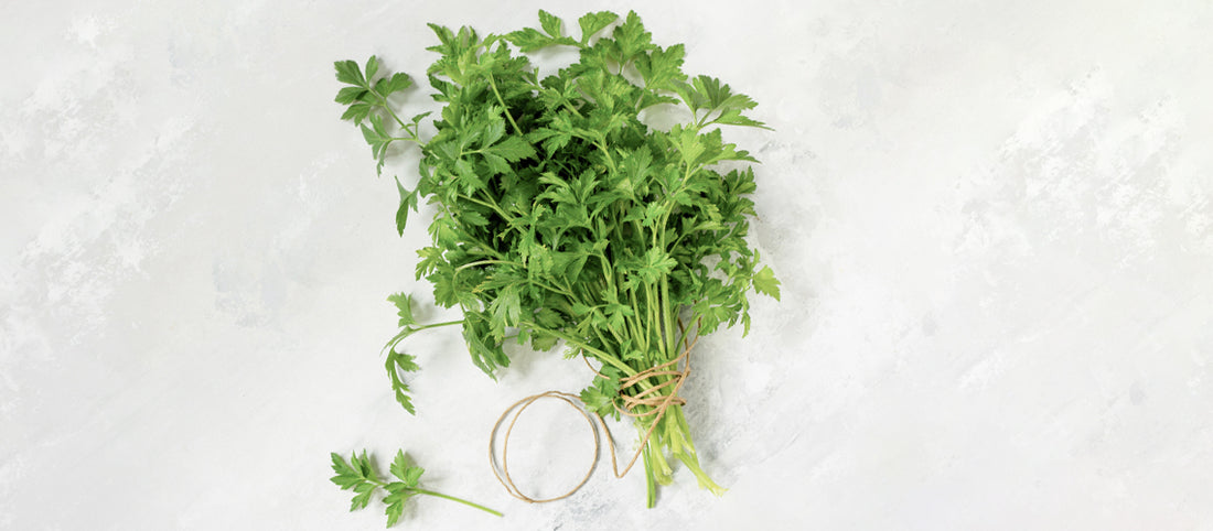 Out Of The Kitchen: How Parsley Could Transform Your Skin