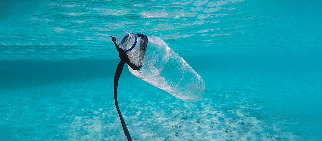 Let’s Talk About Plastic Pollution