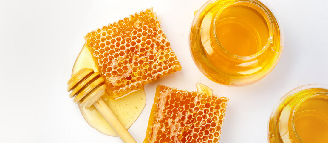 How Sustainable Sourcing Helps The Honey Bee