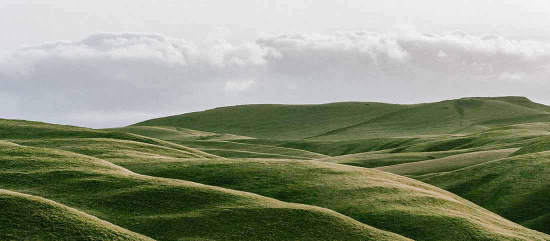 Naturisimo is now a member of 1% for the Planet