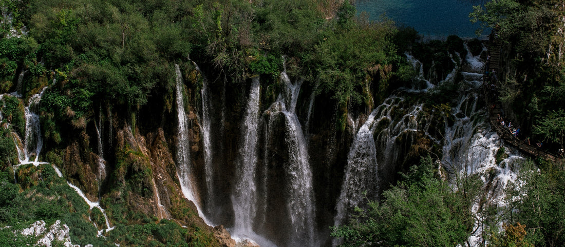 Biodiversity: Why it matters