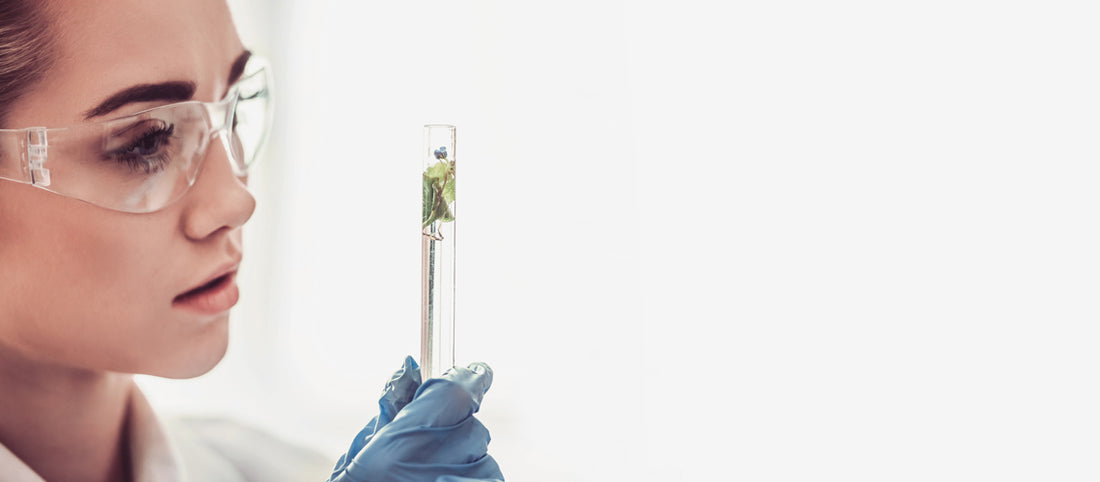 The Science of Cutting Edge Anti-ageing Ingredients
