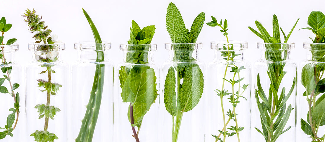 10 Mood-Enhancing Oils
