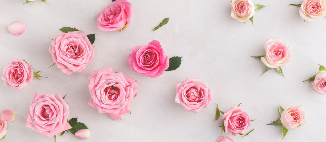 How Can You Harness The Power Of Roses?