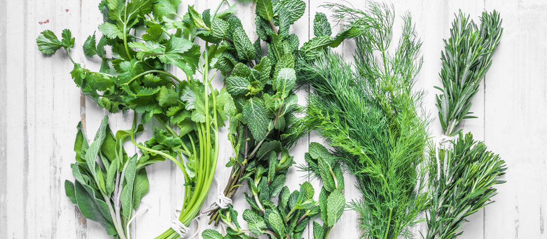 Can Herbs Help Heal Your Skin Concerns?