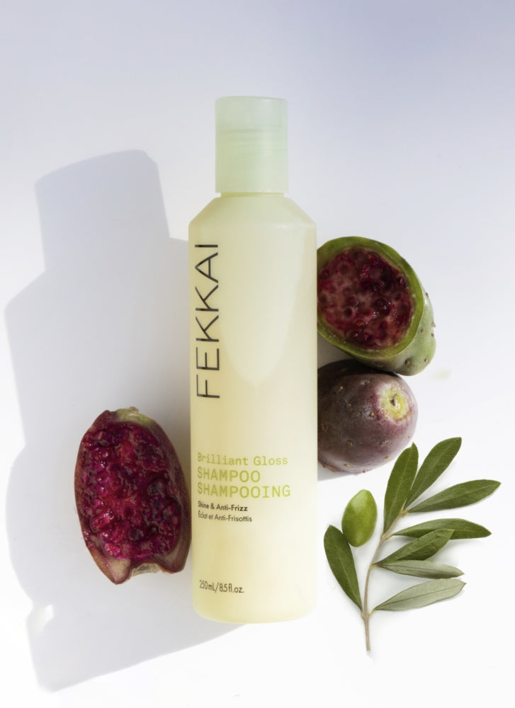 Fekkai Brilliant Gloss Shampoo