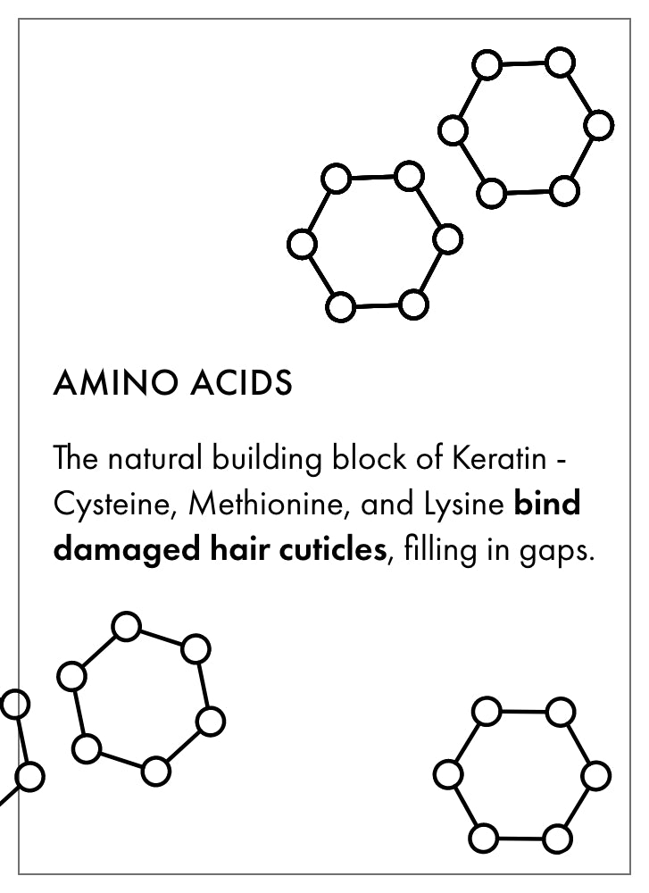 Fekkai Full Blown Volume Shampoo